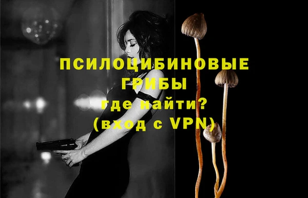 apvp Вязники